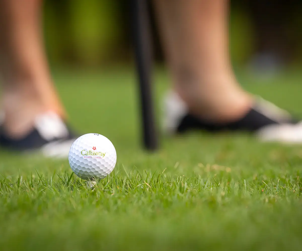 Golf ball set up on tee