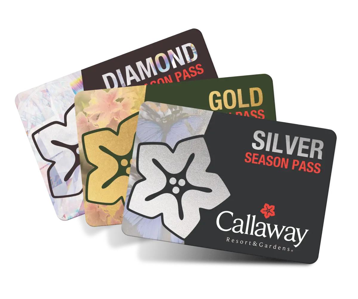Three season pass cards fanned out